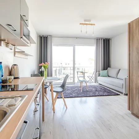 Rent Like Flamingo V