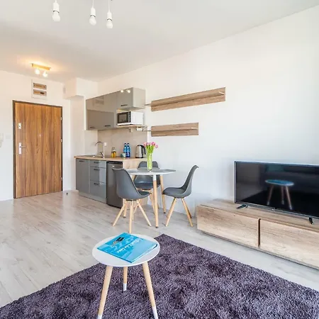 Rent Like Flamingo V
